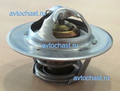 54282 MOTORAD ФОТО